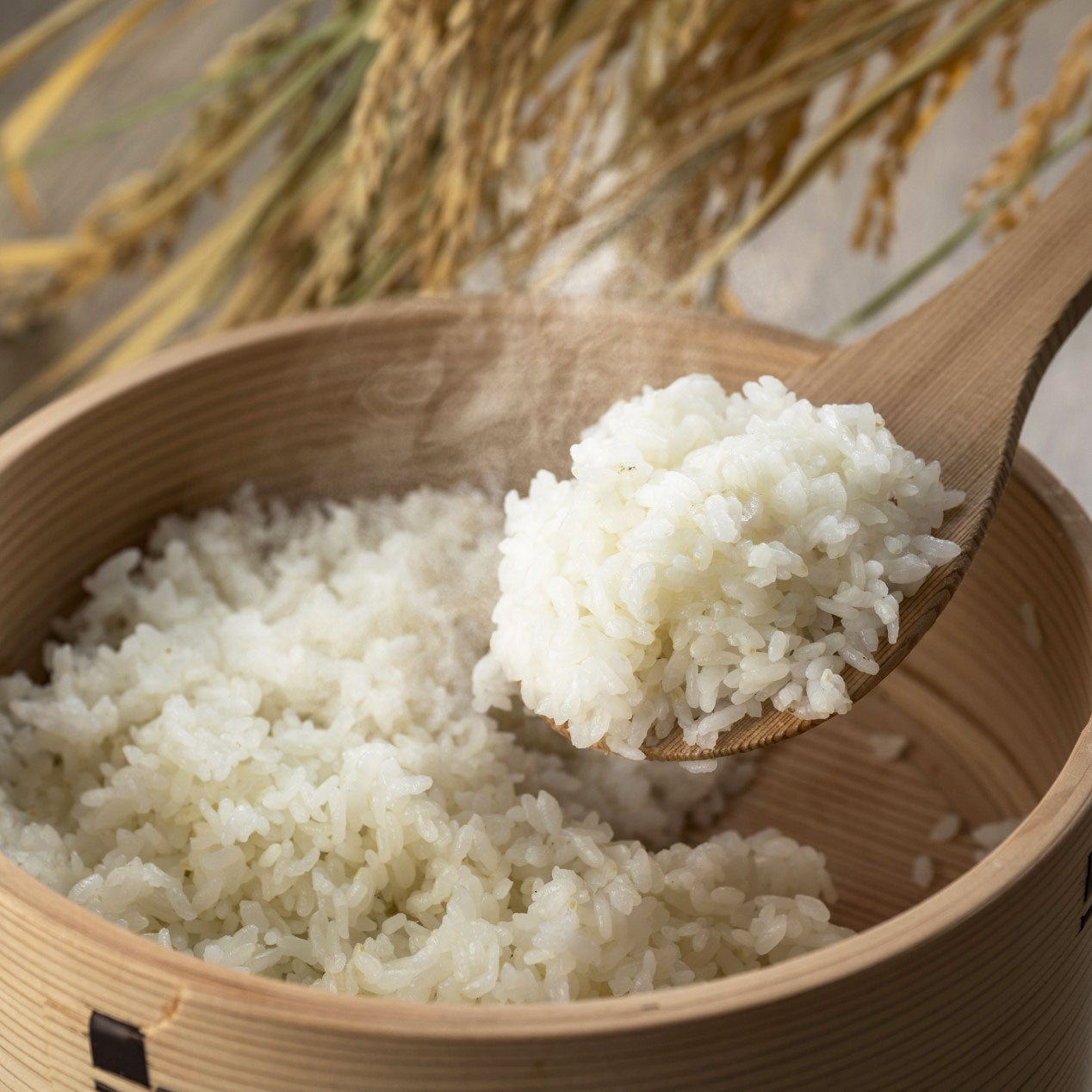 風さやか&コシヒカリ食べ比べセット(無洗米)